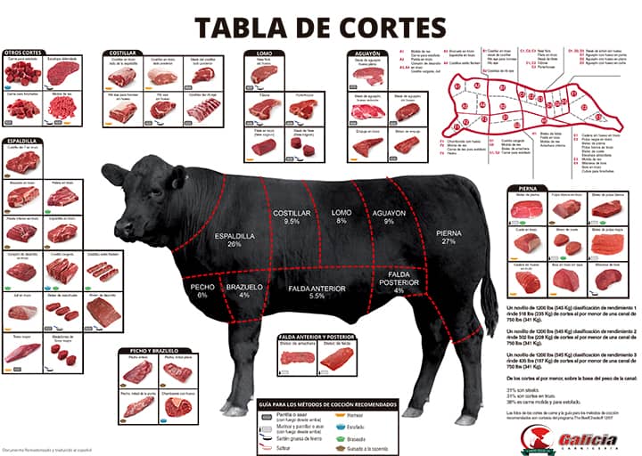 Guía de cortes de carne de la res para descargar e imprimir | Carnicería Galicia